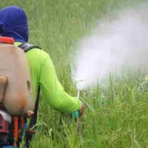 agrobugz
